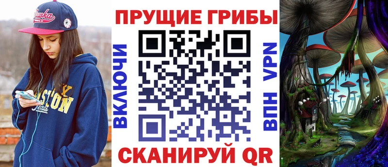 Галлюциногенные грибы GOLDEN TEACHER Краснозаводск