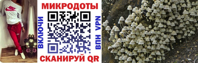 Галлюциногенные грибы Magic Shrooms  Купить где  Краснозаводск 